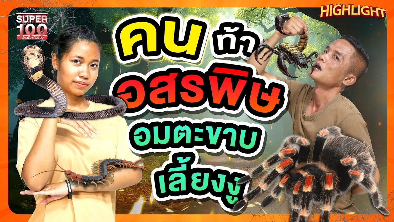 ราชาอสรพิษ ราชินี อมตะขาบ 10 ตัว เลี้ยงงูเหมือนลูก #คนไม่กลัวพิษ HIGHLIGHT | SUPER100