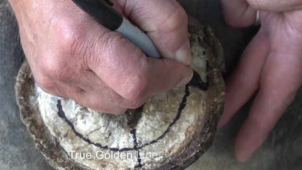 Hoof Mark Up for the HPT Balance Method