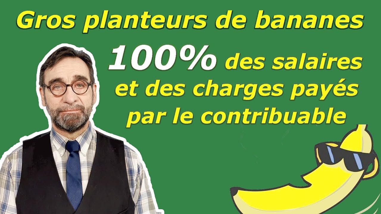 Gros planteurs de bananes : 100% des salaires et des charges payés par le contribuable