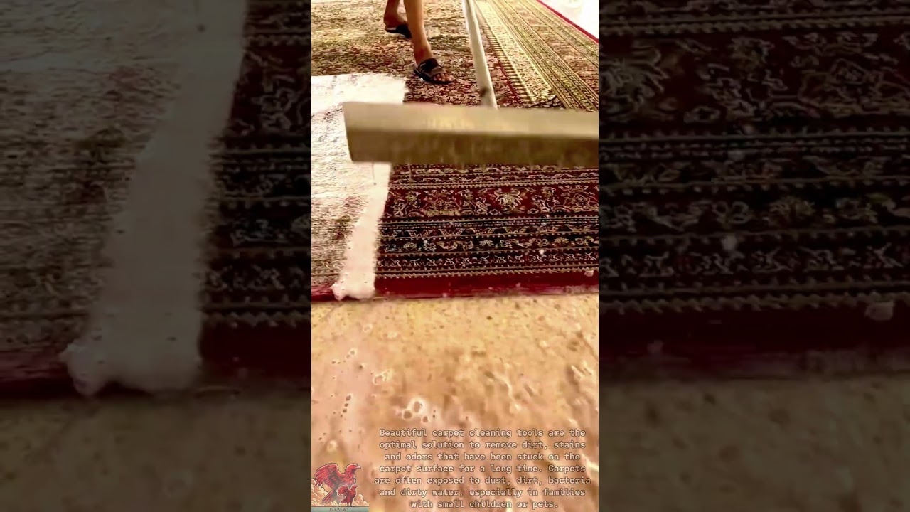 Clean carpet cleaning tools || Tools