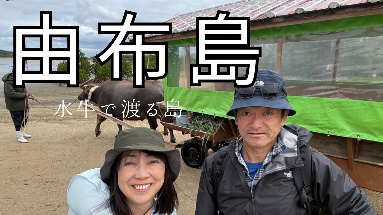 【2月 由布島】水牛車に乗って西表島から由布島観光 #島旅 ＃牛 #沖縄