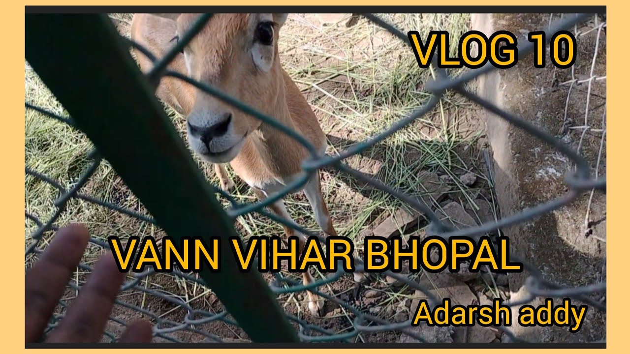 Exploring Vann Vihar of Bhopal Vlog 10 Adarsh Addy