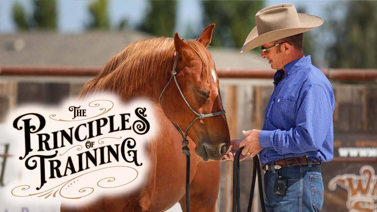 The Principles of Training Season 3 Episode 2: "Stress Indicators"