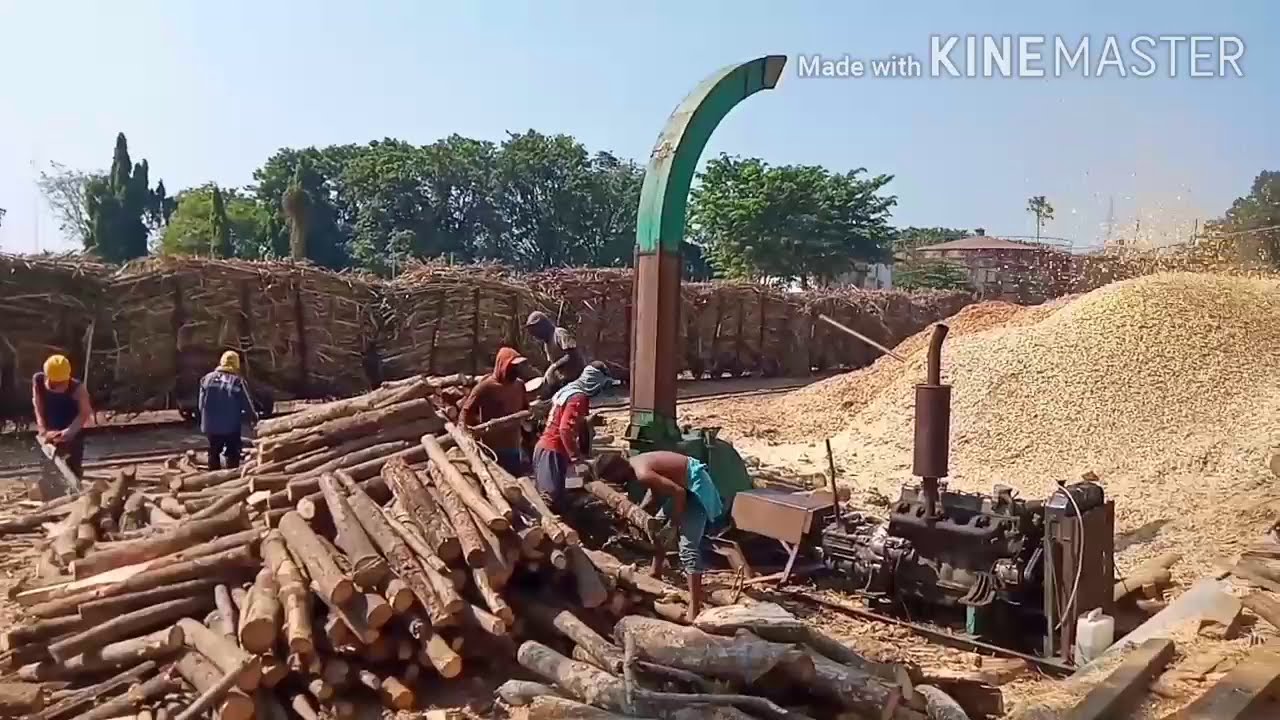 AMAZING..!!! Mesin penghancur kayu | Wood crusher