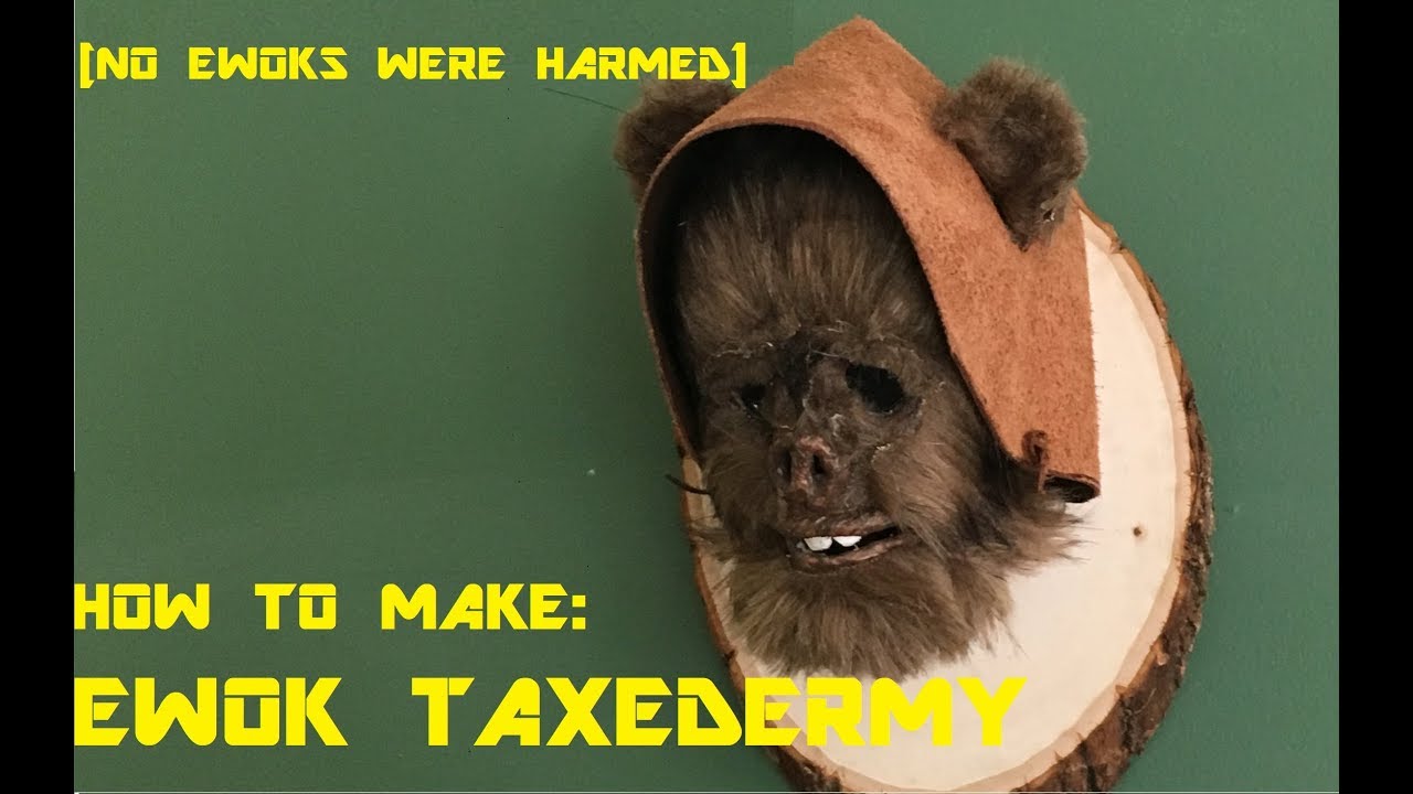 How To Make An Ewok Head