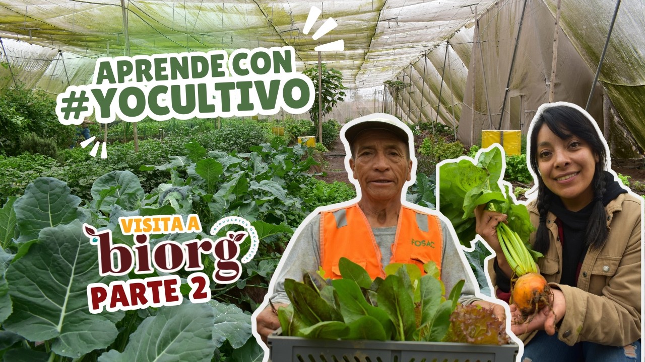 Visita a Biorg - Parte 2