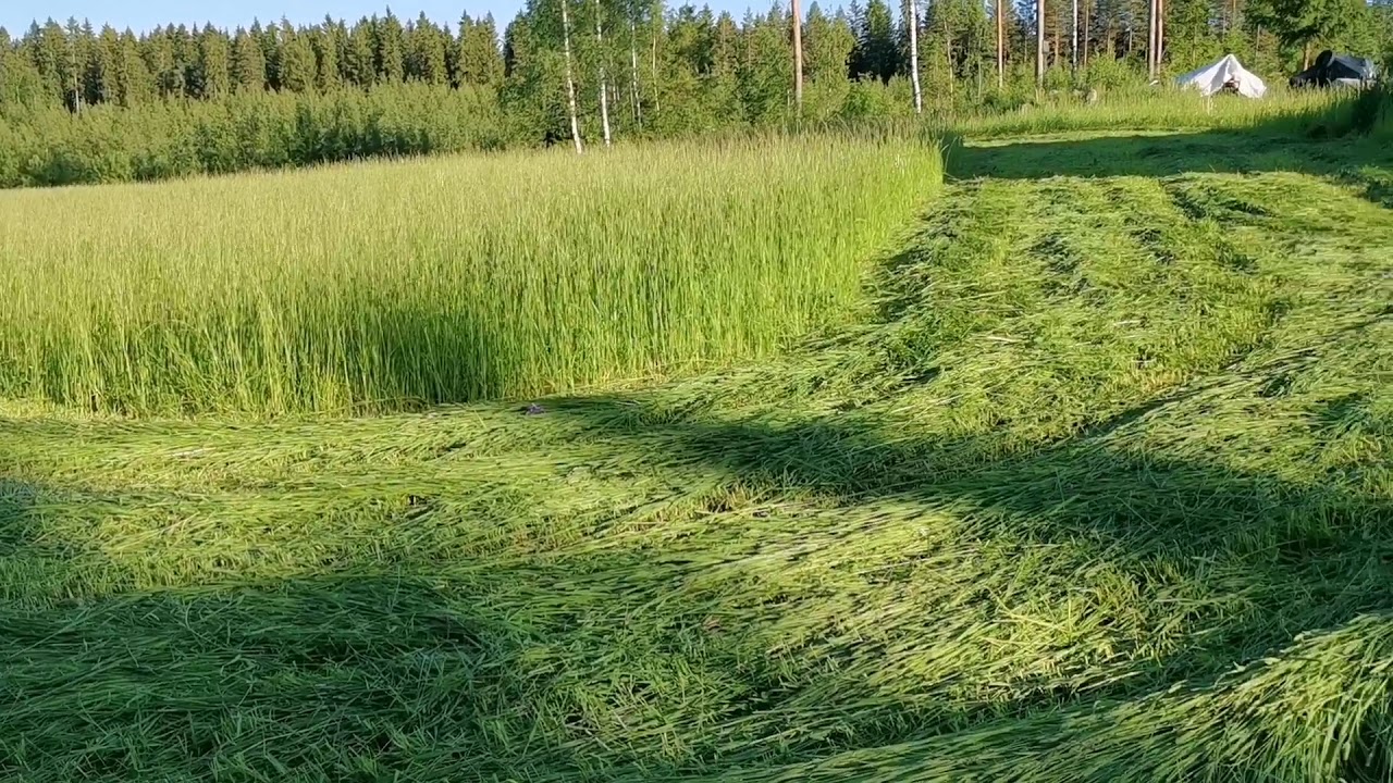 Valmet 500 / Yl&ouml;