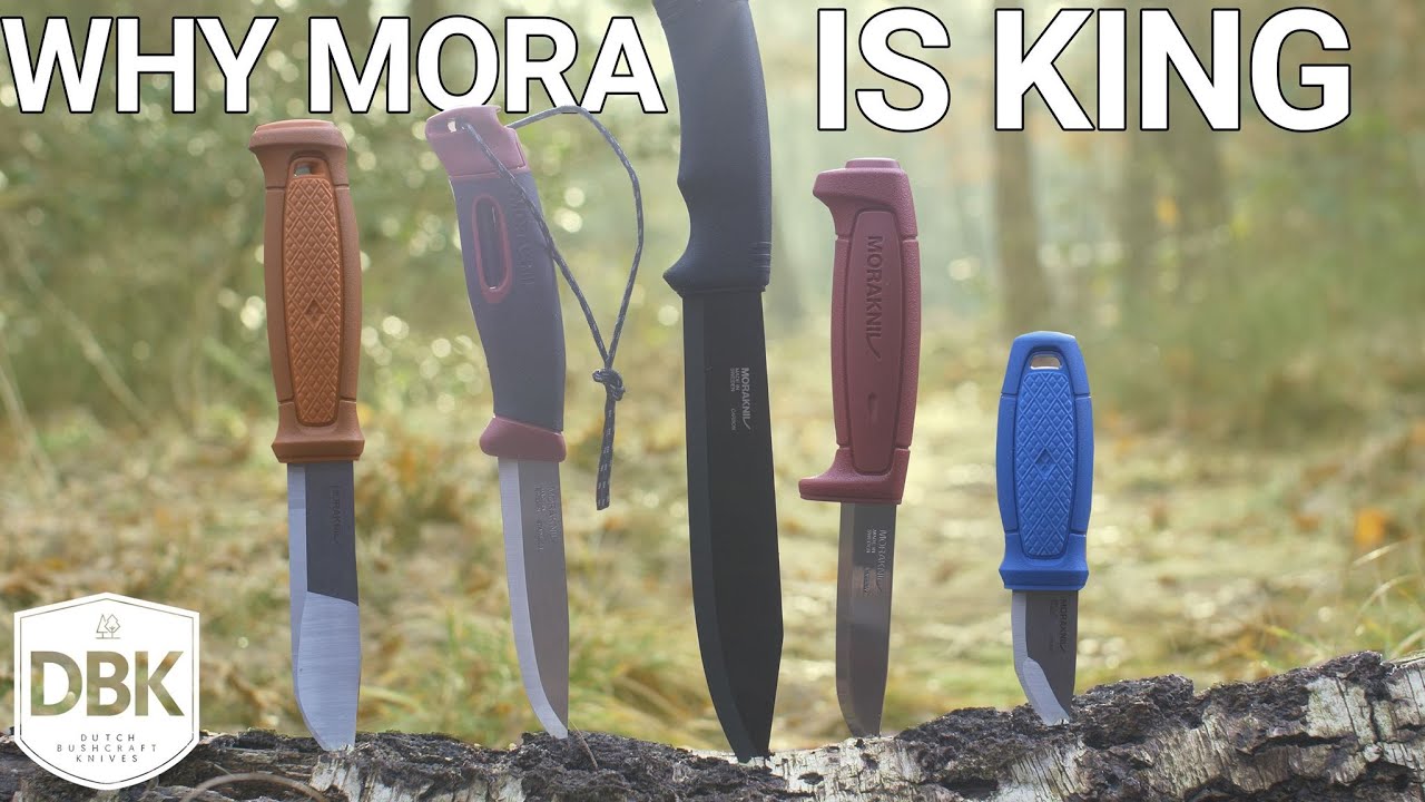Почему каждому НУЖЕН Моракнив