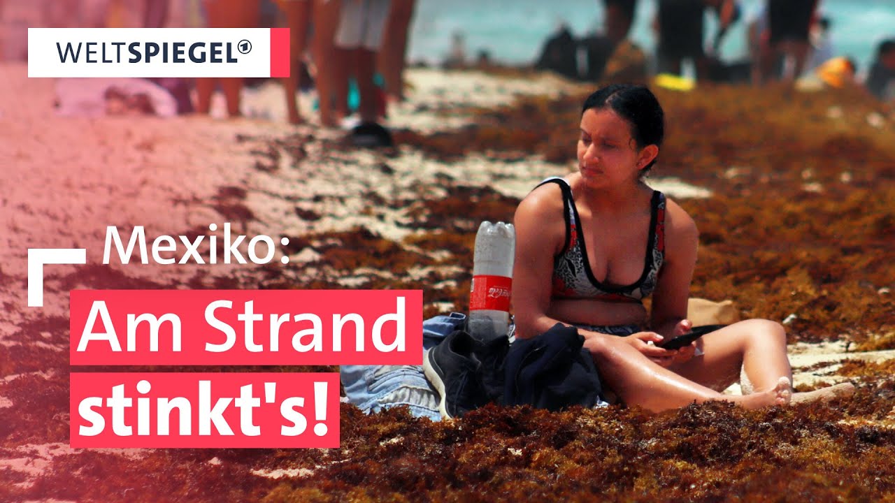 Algenplage im Urlaubsparadies | Weltspiegel