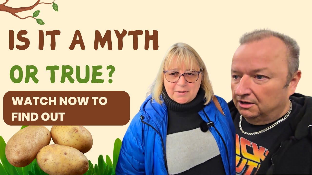 Are You Ready? We Debunk the Biggest Myth!