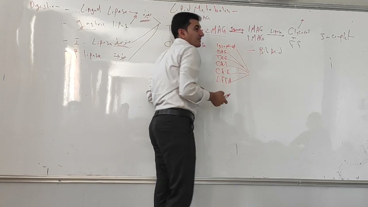 المحاضرة النهائية كيمياء حيوية2 د.ابراهيم حساني اللبيدات