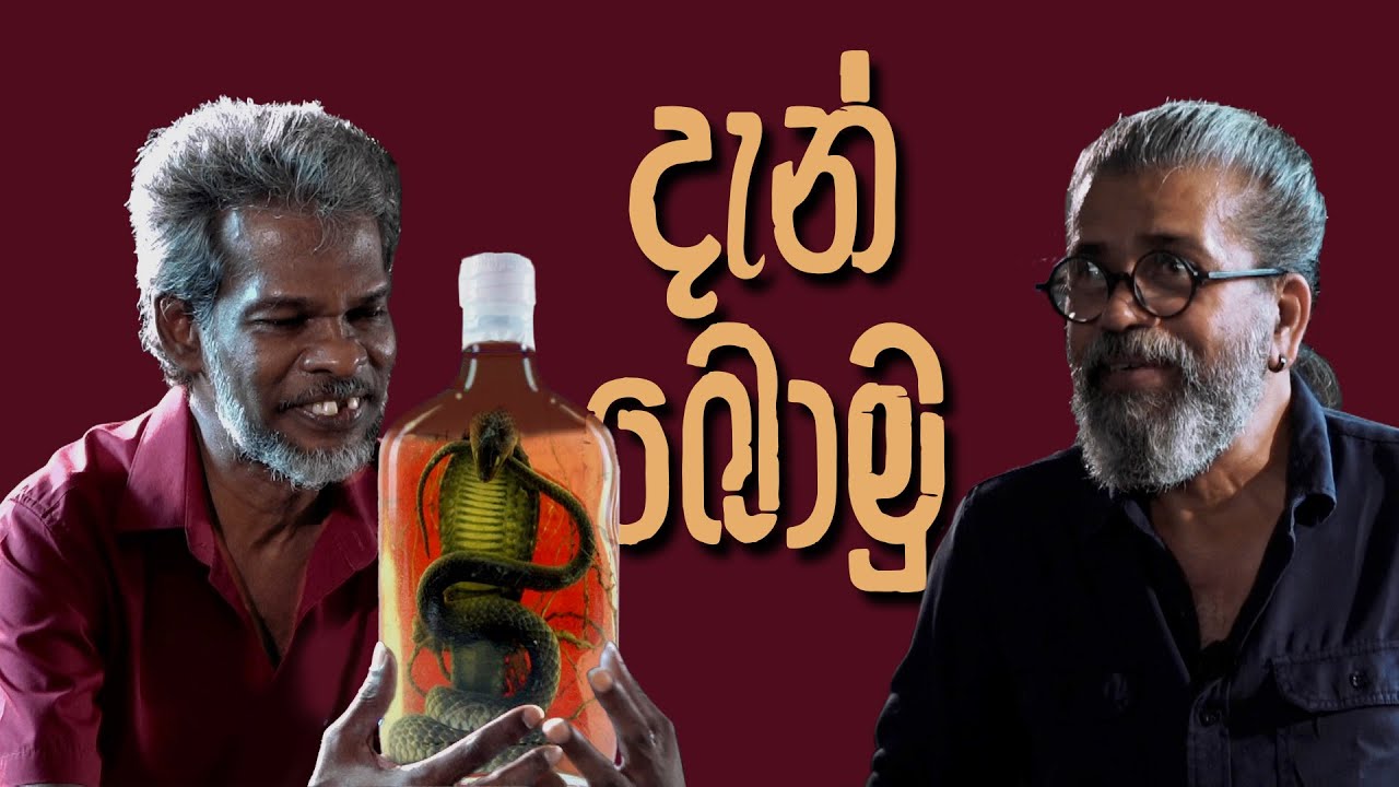 දැන් බොමු | Royal Taprobanian