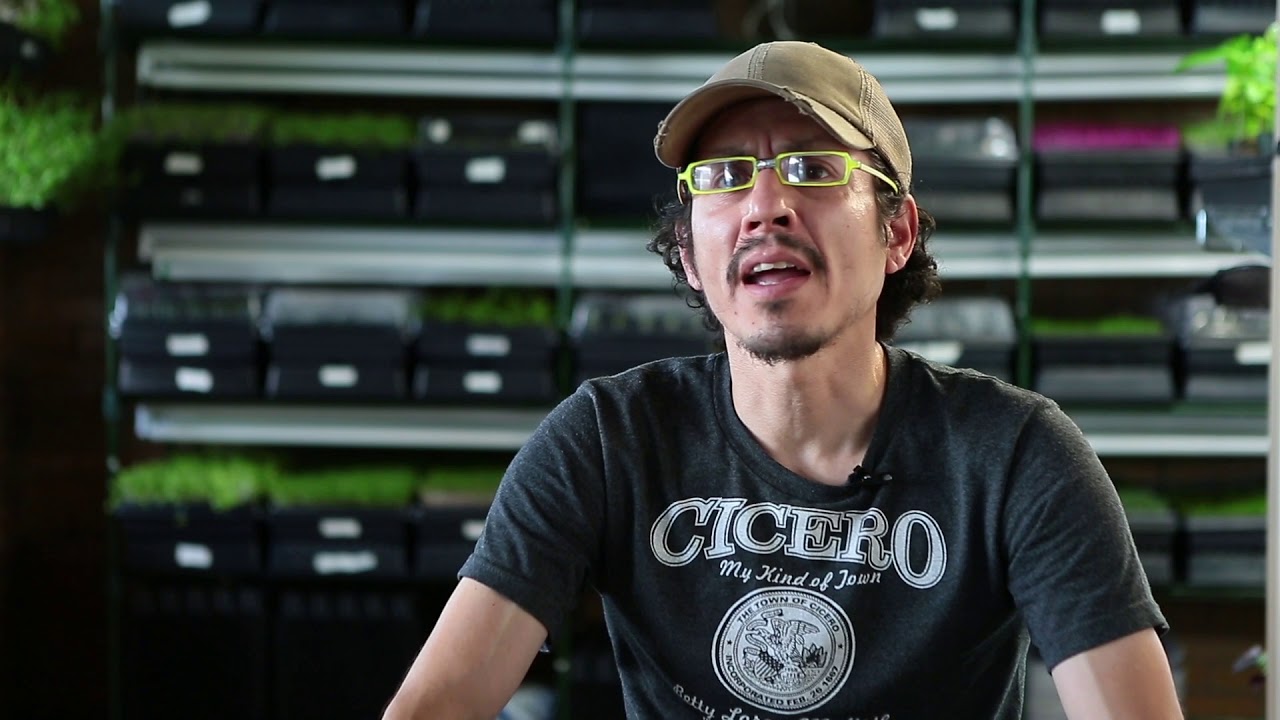 Starting a microgreens business | Nick Greens Grow Team