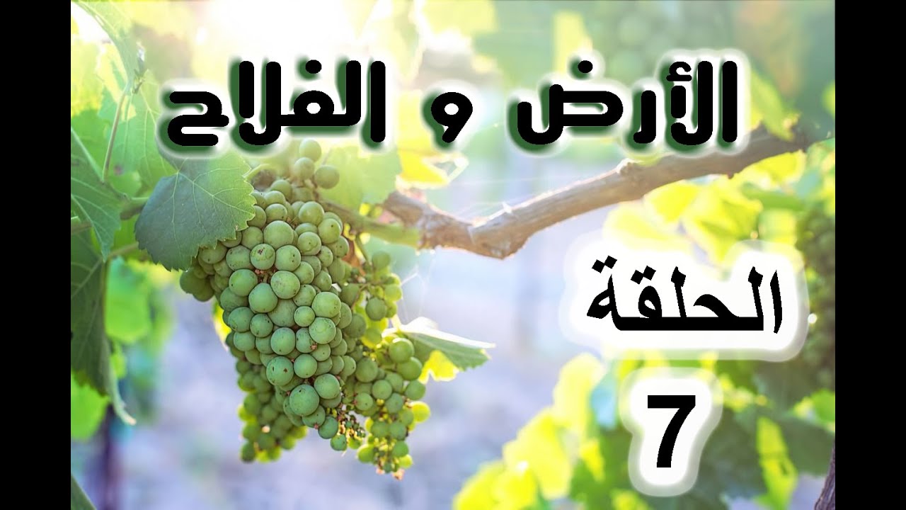 الارض و الفلاح 7