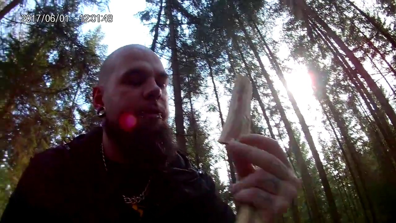 Mein erster tag im Wald
