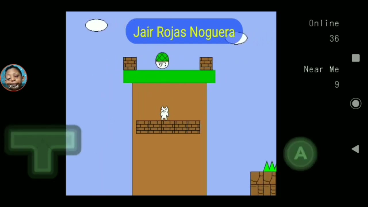 CAT MARIO MULTI PLAYER NO TROLL