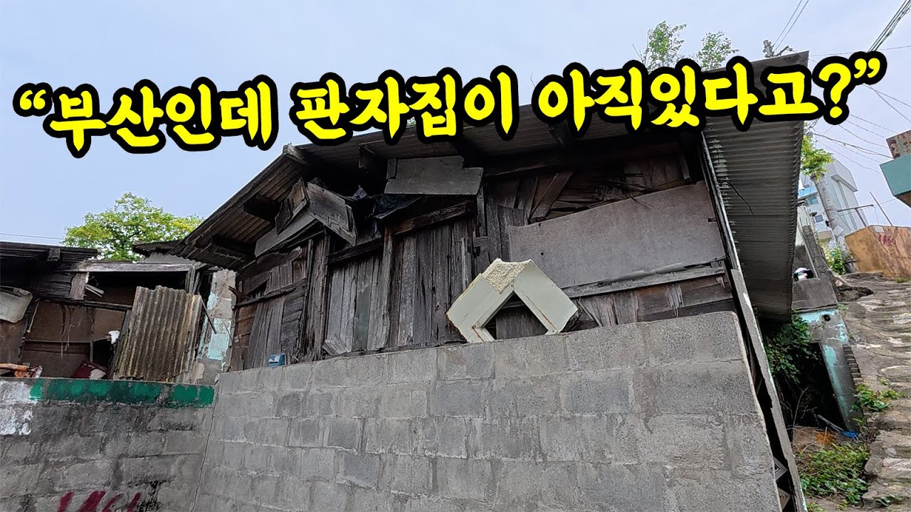 [앞으로 없어 질 동네🌃] 판자집이 아직도 남아 있는 부산 감만동~ #부부따 #사라질동네 #감만동