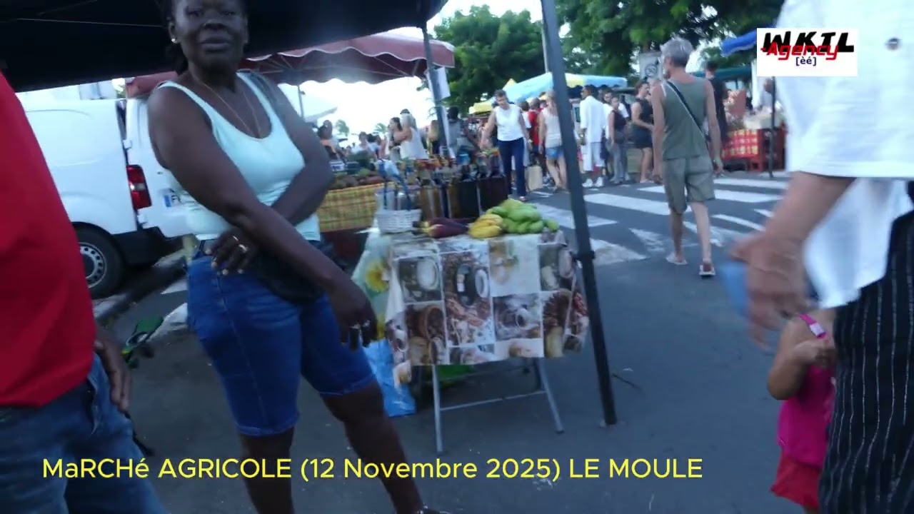 MAWCHé MOUL (MARCHé AGRICOLE) Le Film Intégral _ [18sur18] _ 12 Novembre 2025, LE MOULE