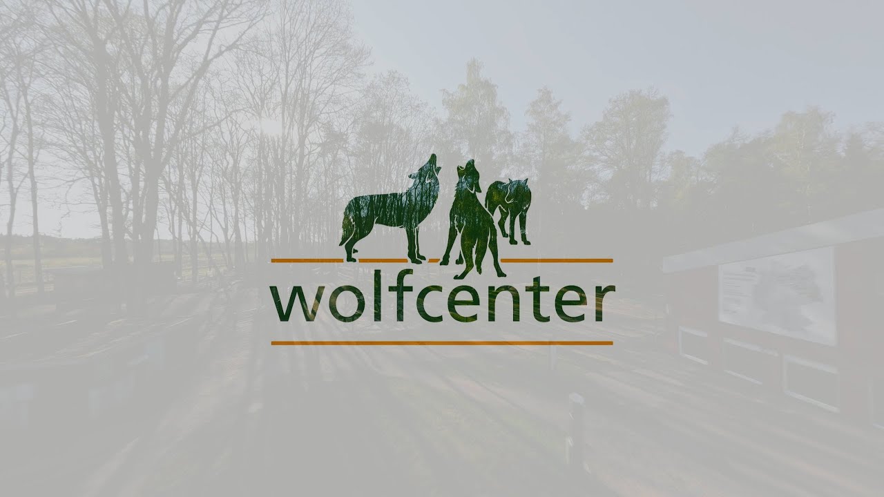 Wolfcenter D&ouml;rverden