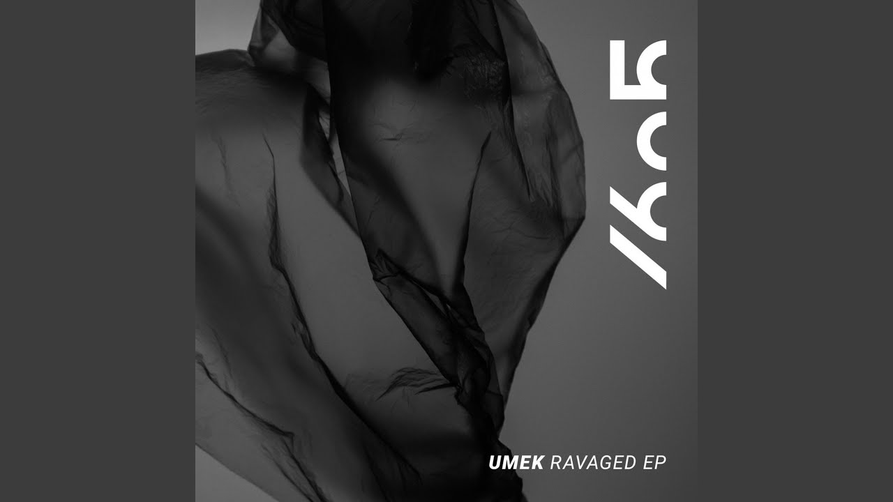 Ravaged (Original Mix)