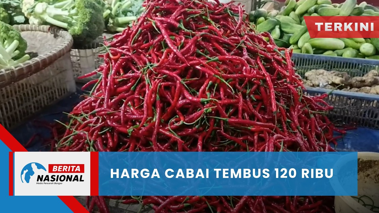 Berita Nasional Terkini | Harga Cabai Tembus 120 Ribu