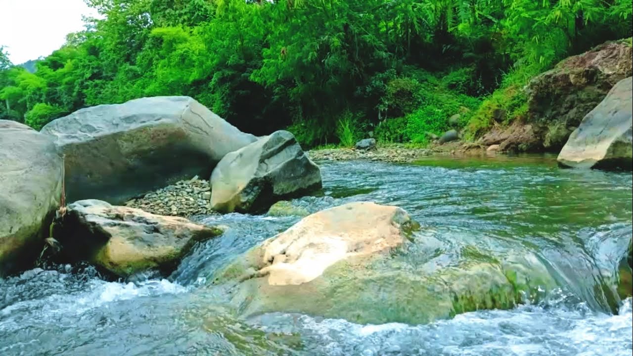 Relaxing River Stream Sounds 🌿 Flowing Water for Deep Sleep, Meditation & Stress Relief  Nature