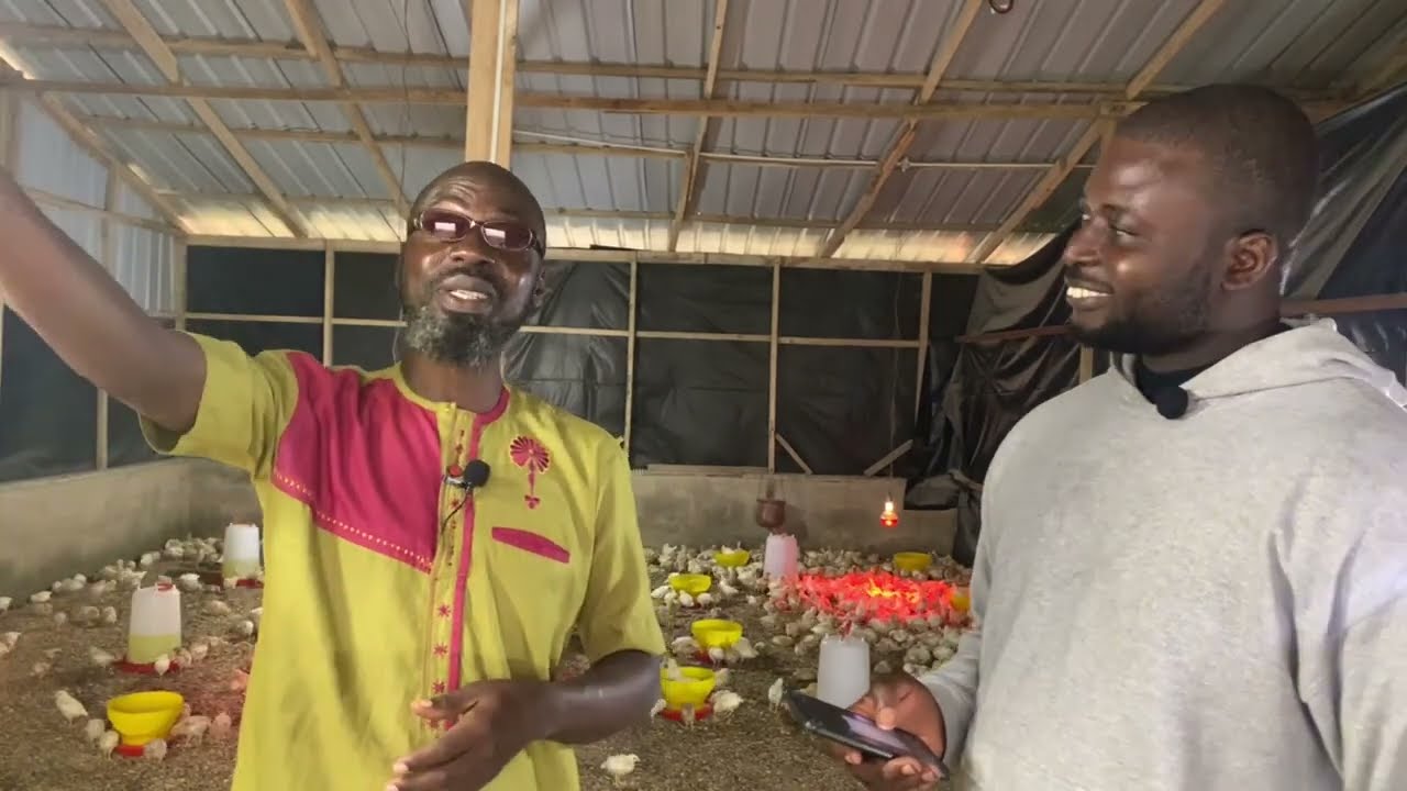 From Eggs to Riches: The Poultry Farming Business in Ghana