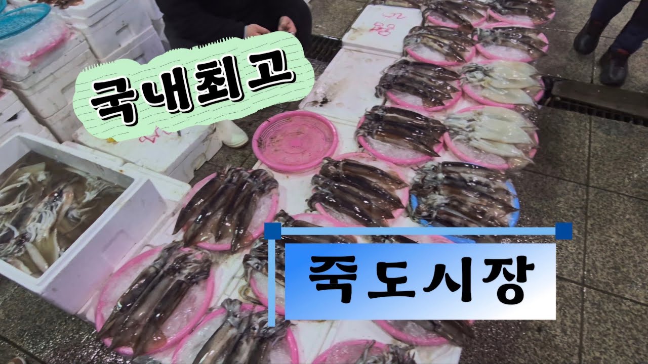 죽도시장 인삼인해