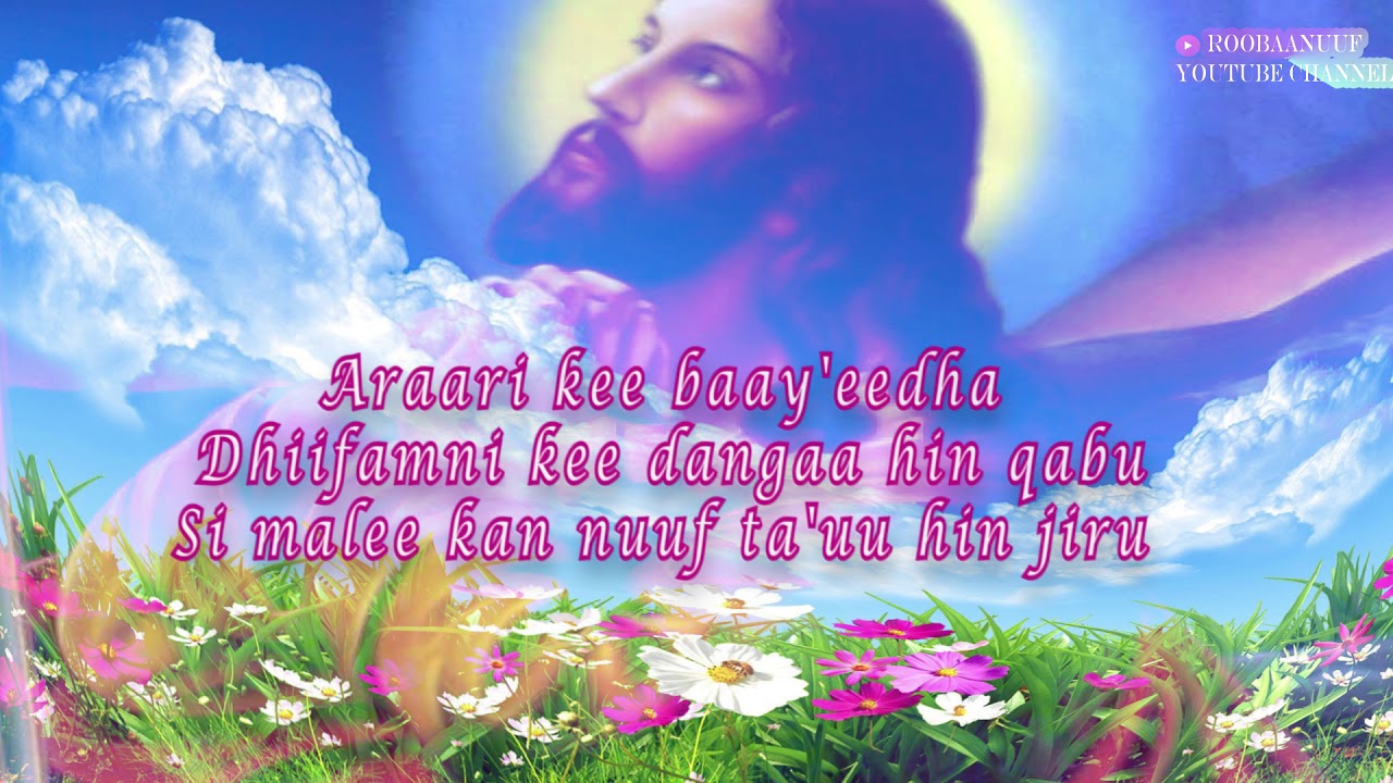 Araarri kee baay'eedha dhiifamni kee dangaa hin qabu