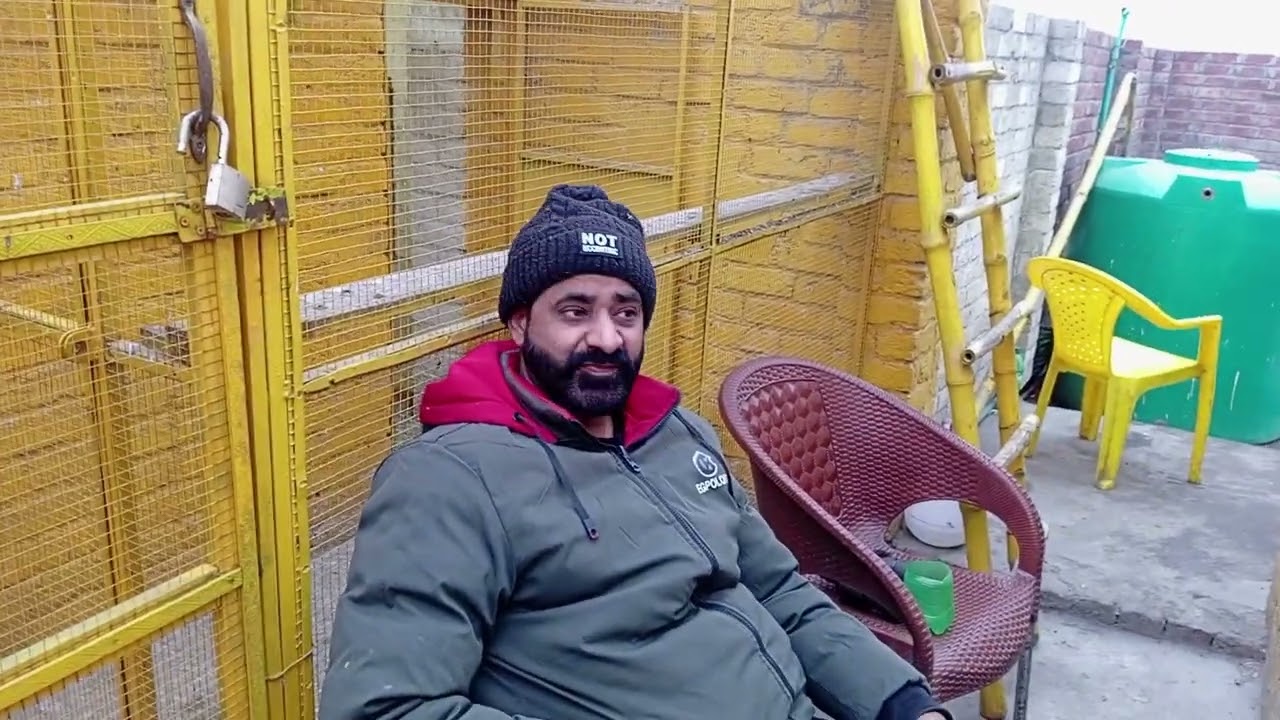 5 Bachy Aaj Chaly Gaye Mian Zaheer pigeon Club