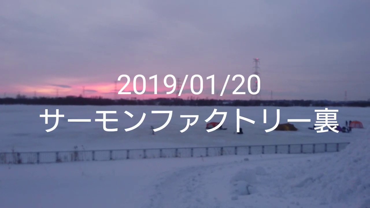 2019/01/20 サーモンファクトリー裏 ワカサギ #11