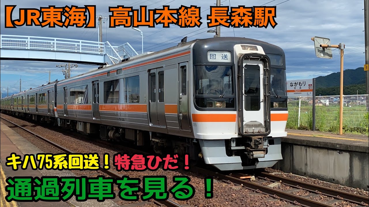 (JR東海)高山本線　長森駅 通過列車を見る！