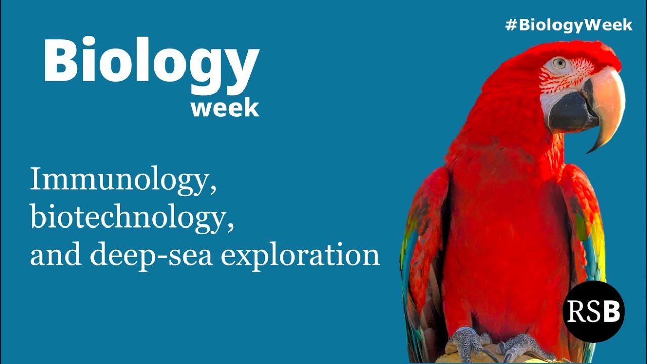 Immunology, biotechnology, and deep-sea exploration | Biology Week 2025 STEM talk