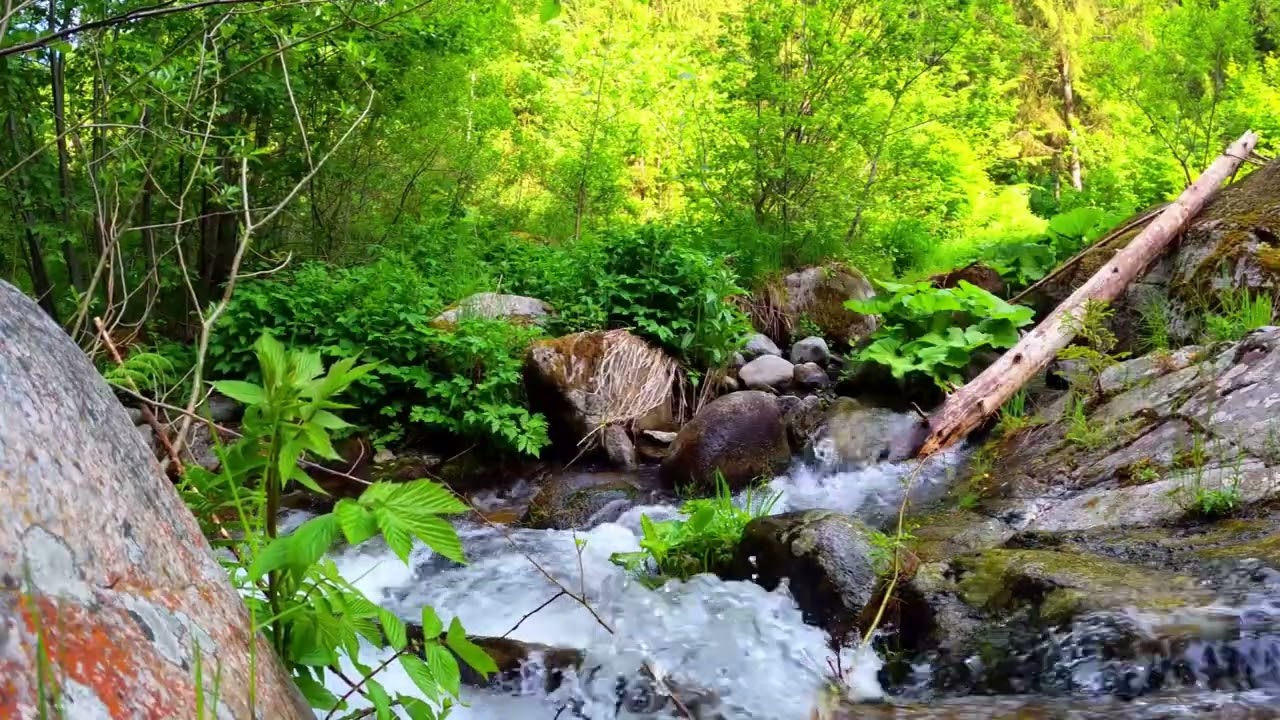 Soothing River Stream ASMR – 10 Hours of Natural Relaxation 