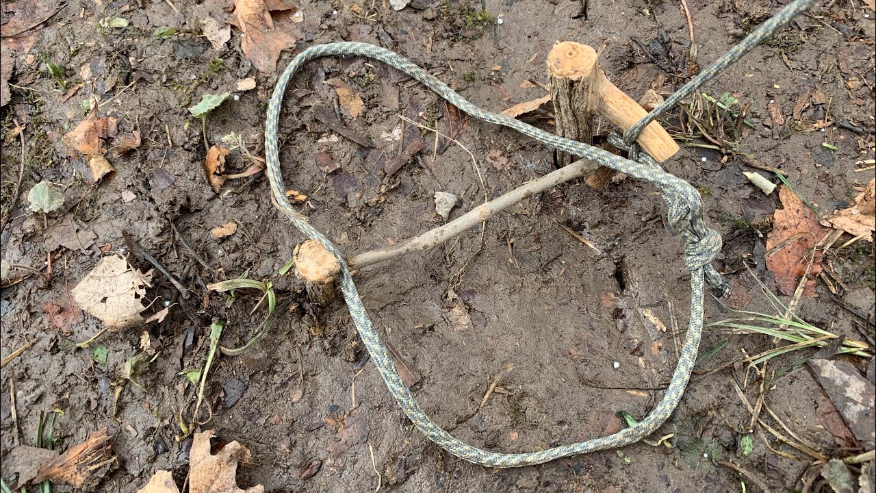 How To: Spring Snare Trap Demo for Birds/Animals