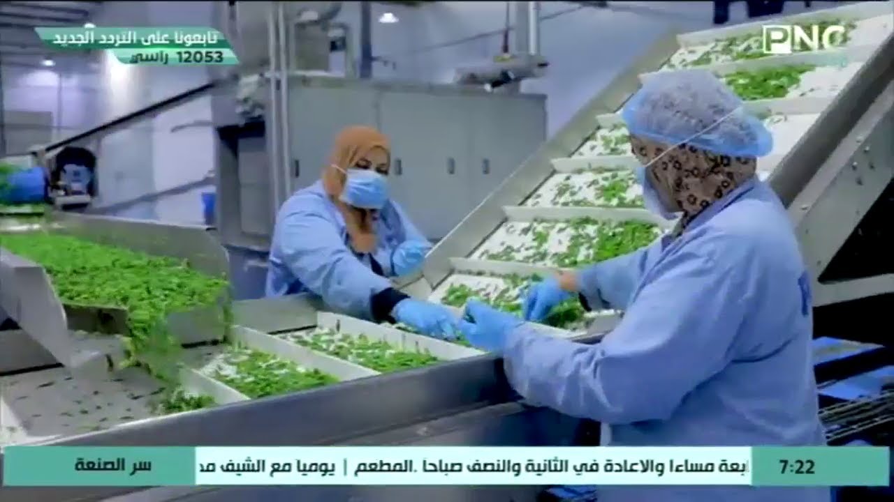 أسرار رحلة تصنيع الخضار المجمد من مصنع راية فودز - الجولة الكاملة | سر الصنعة مع الشيف دعاء السمنودي