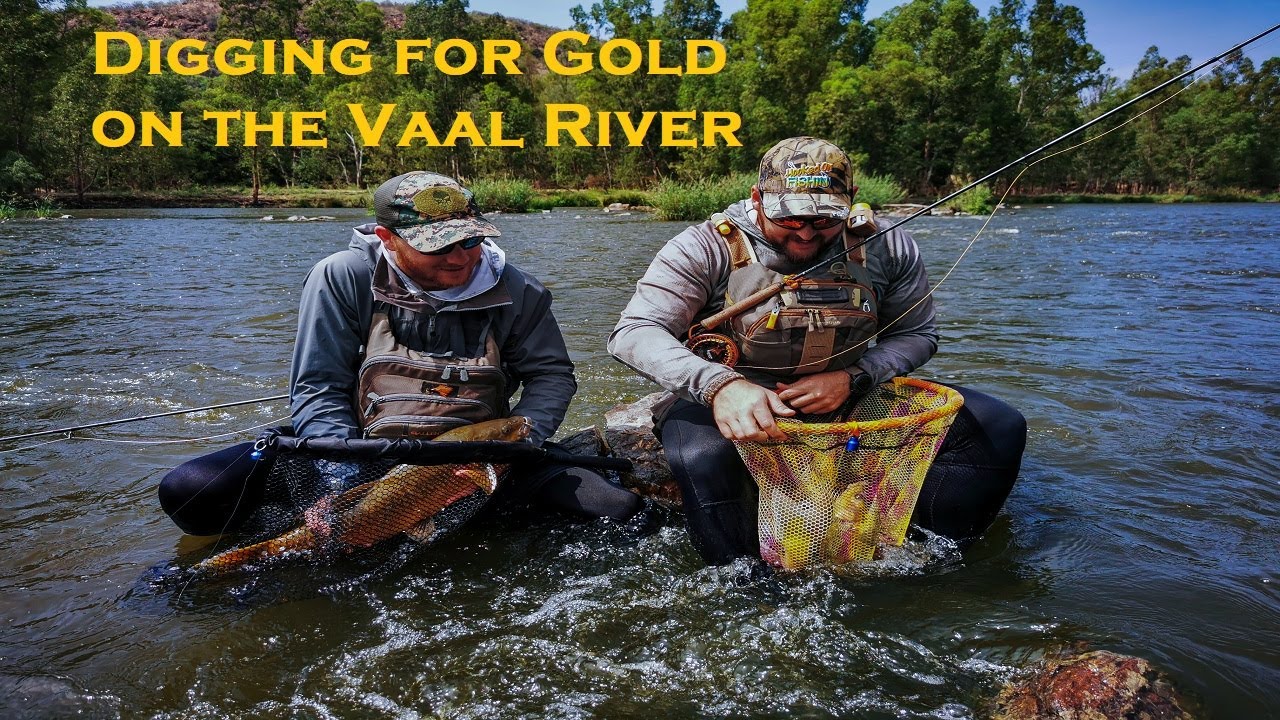 Catching Smallmouth Yellowfish on FLY with Friends