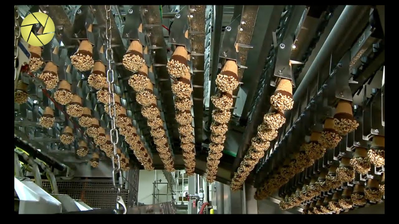 Inside The Food Factory | Incredible Process Worth Watching | Hungry Already