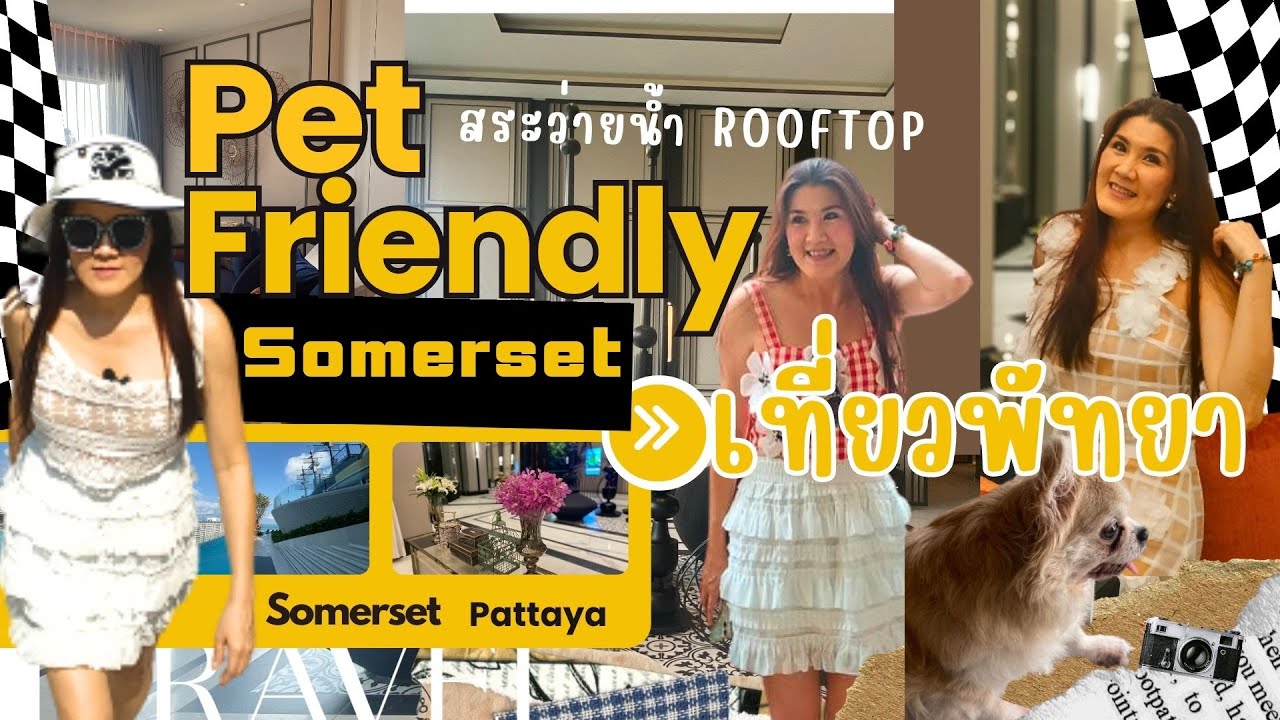 Somerset เที่ยวพัทยา 2023 ไฮไลท์ที่พัก (Rooftop วิวทะเล สวยไม่เกรงใจ ปังมากแม่) Pet Friendly EP.76