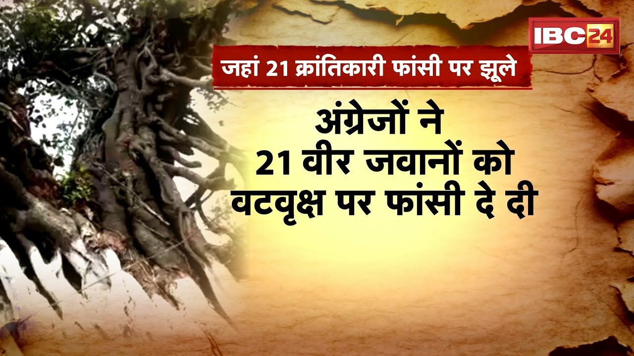 MP News: The banyan tree in Khairi village, Mandla, witnessed the 1857 revolution. Where 21 revol...