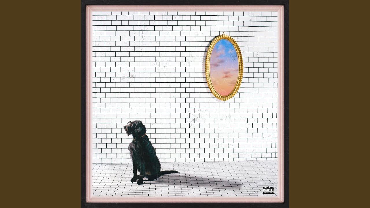 Devin the Dog