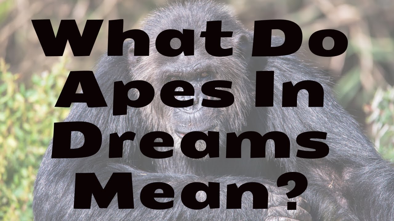 What Do Apes In Dreams Mean?