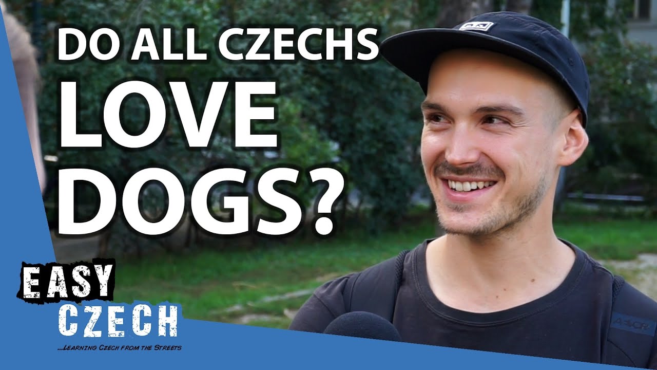 What's Your Favorite Animal? | Easy Czech 12