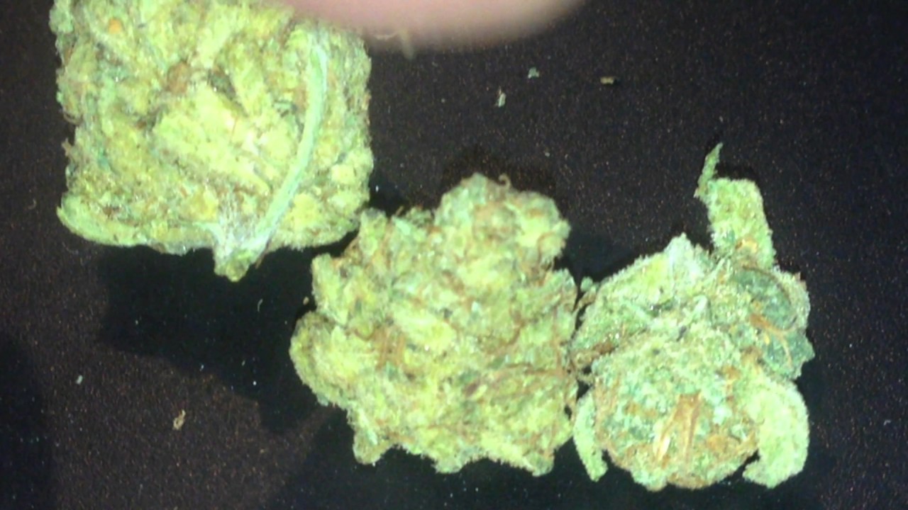 Fire Weed Best Strains In Yorkshire Cali Ammo Blues G13 Grape God