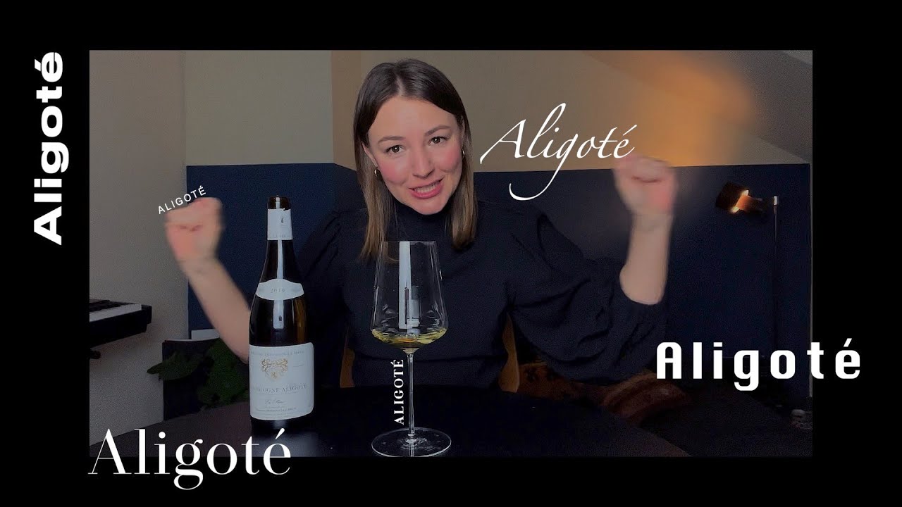 WINE TALK : Who knows Aligoté? Noone. Who loves Aligoté? Everyone