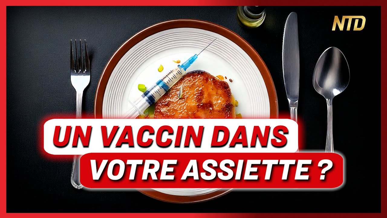 Les volailles fran&ccedil;aises vaccin&eacute;es par ARNm auto-amplifiant : y a-t-il un risque ?