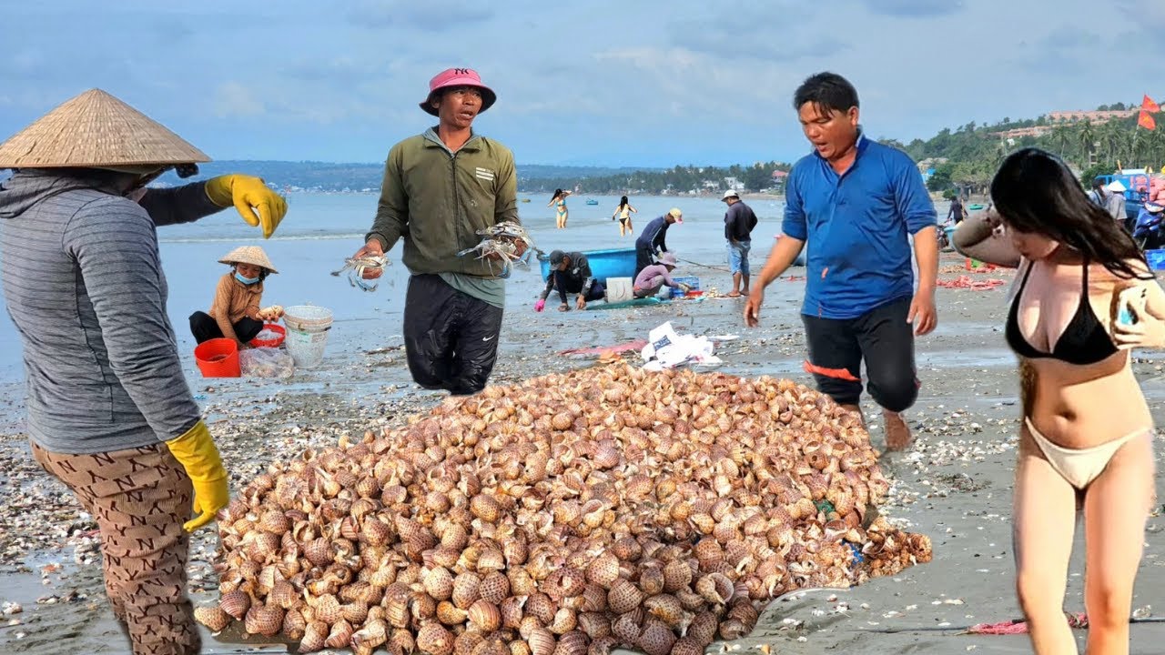 Cảnh Tượng Bàng Hoàng Tại Bãi Biển Mũi Né - Người Khóc Mất Tiền Triệu,Người Cười Vì Trúng Mánh Ốc