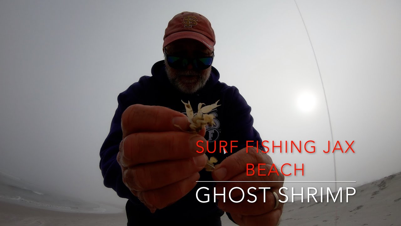 Surf Fishing Jacksonville Beach with Ghost Shrimp