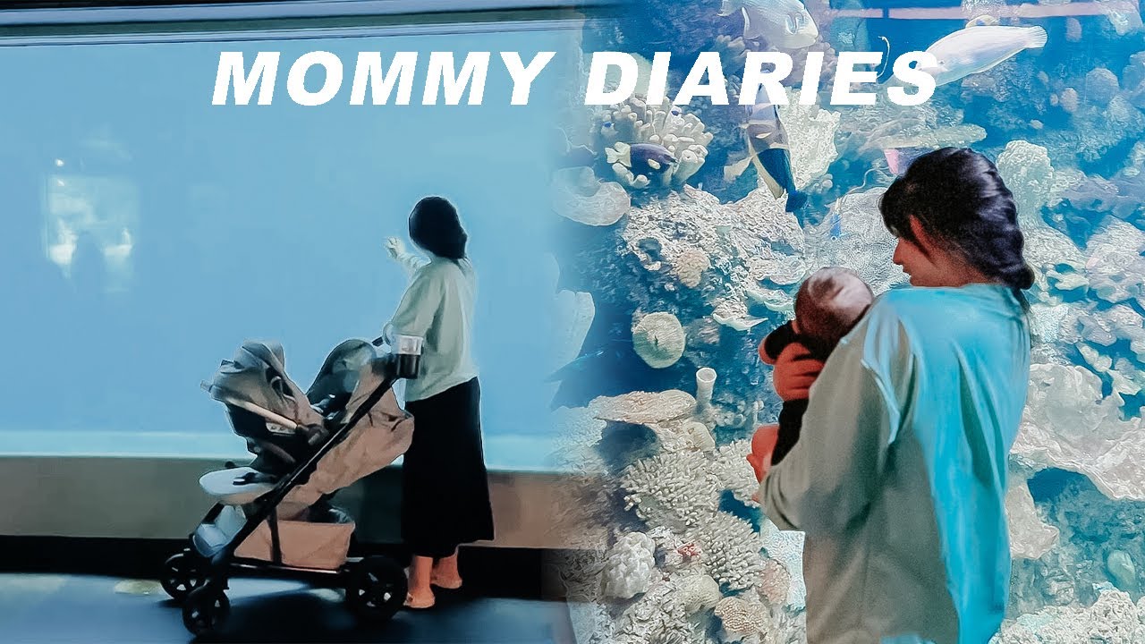 mommy diaries | Visting Aquarium with my son + FINALLY one night vacay (?) +more  organizing clothes