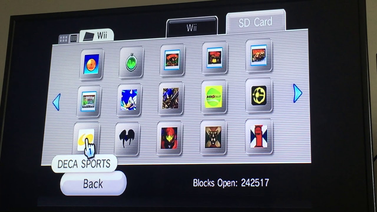 All the Wii Saves I put on my SD Card
